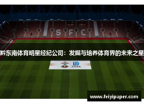 黔东南体育明星经纪公司：发掘与培养体育界的未来之星